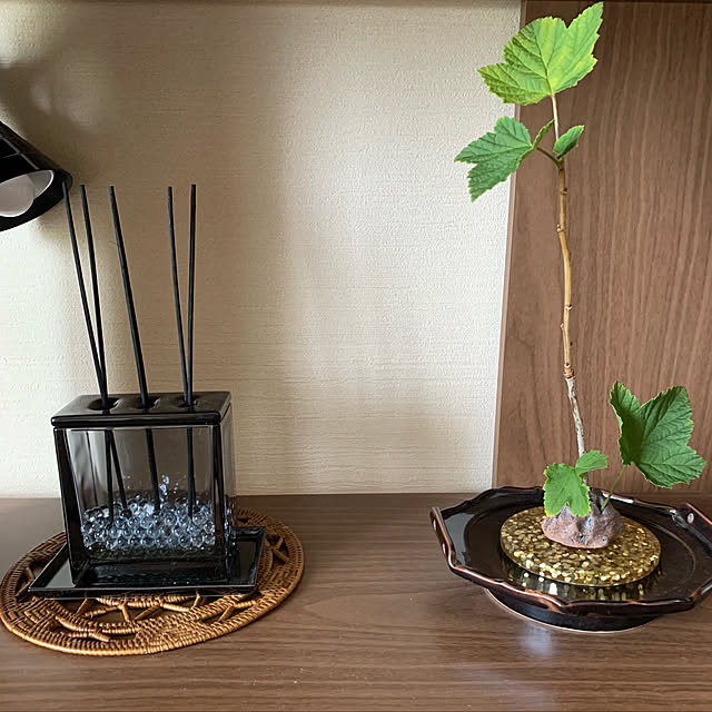 aureaさんの実例写真