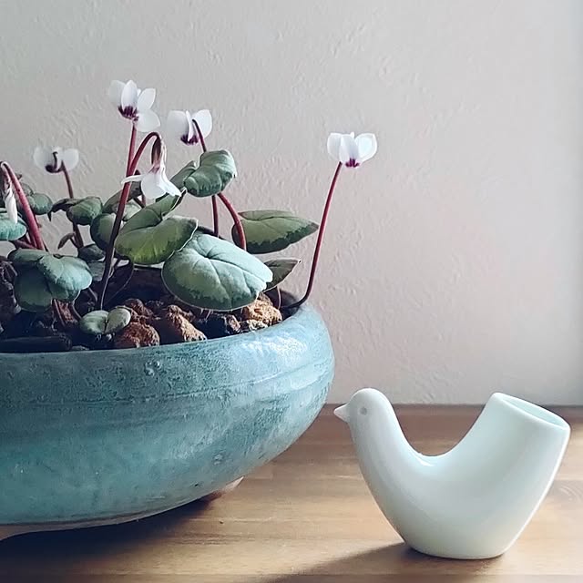 hana-さんの部屋