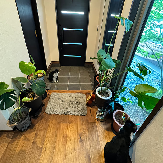 porinさんの部屋