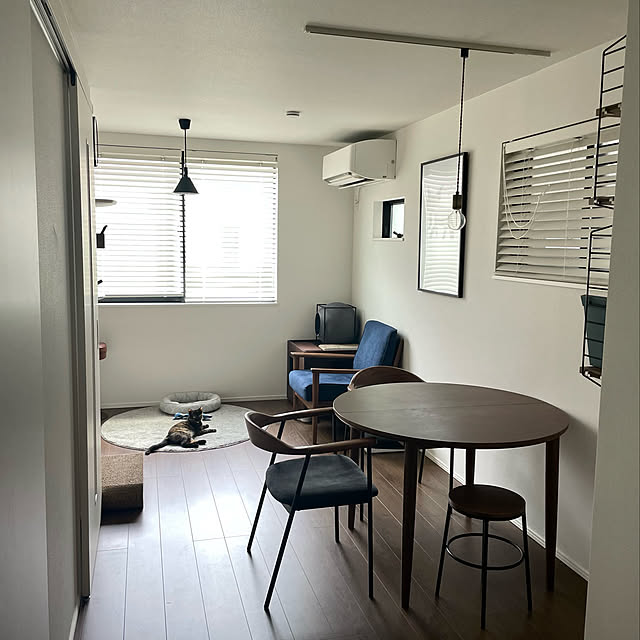 猫のいる暮らし/狭小3階建/建売狭小/建売をオシャレにしたい/部屋全体のインテリア実例 - 2022-08-12 14:29:11
