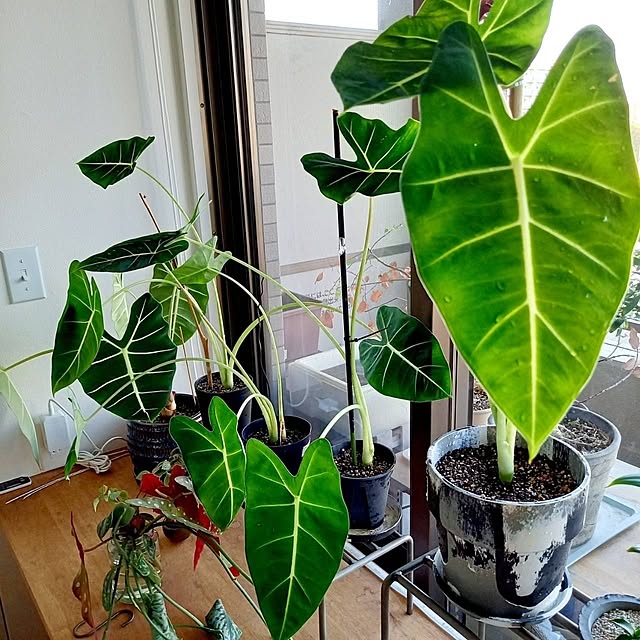 Rさんの部屋
