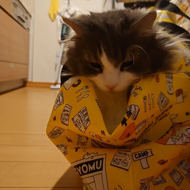 shinobuさんの部屋
