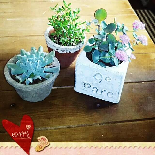 LittleMyさんの実例写真