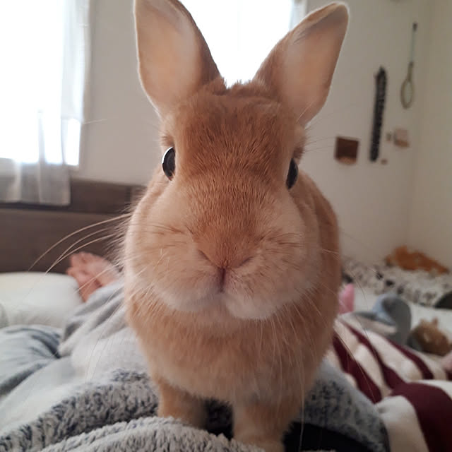 aiさんの実例写真