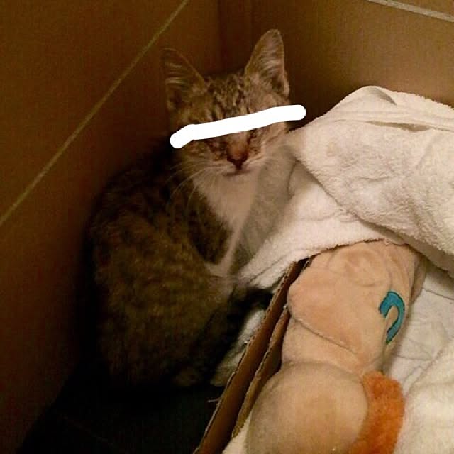 sumisumiさんの実例写真
