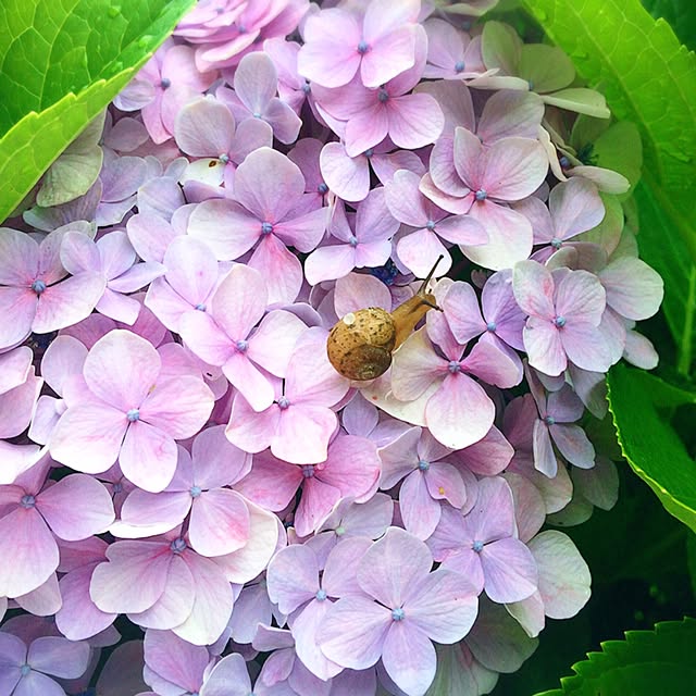 HappyRoseさんの実例写真
