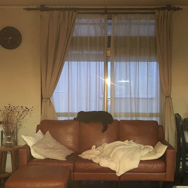 eruさんの実例写真