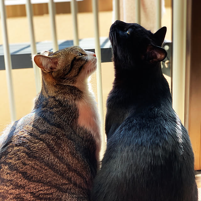 rioさんの実例写真