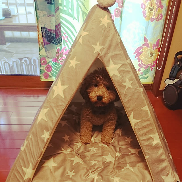 shorinさんの実例写真