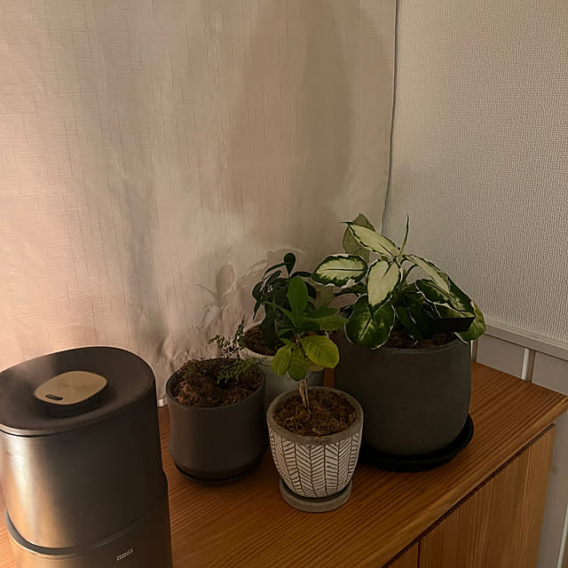 maimai35さんの実例写真