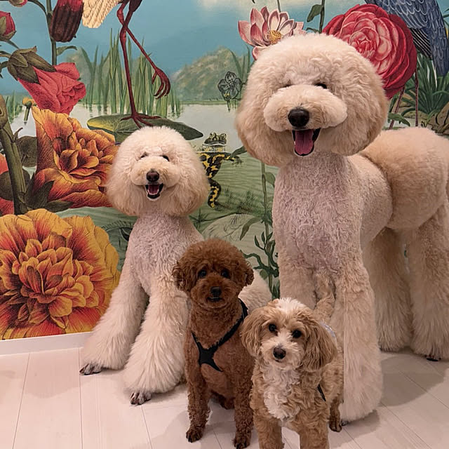 nackeyさんの実例写真