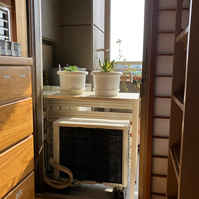 koshiregutyoさんの部屋
