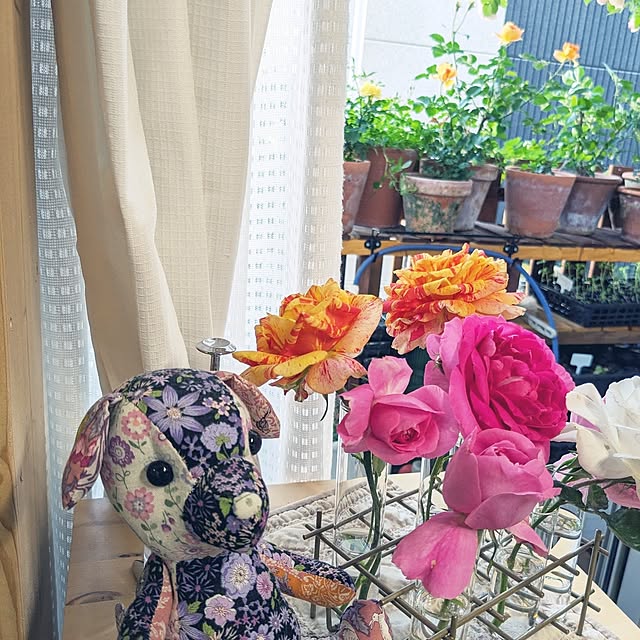kazuさんの部屋