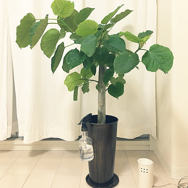 tomomioshigeさんの実例写真