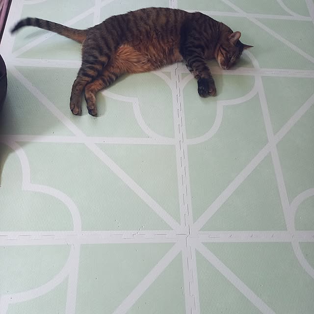 p-p-maruさんの実例写真