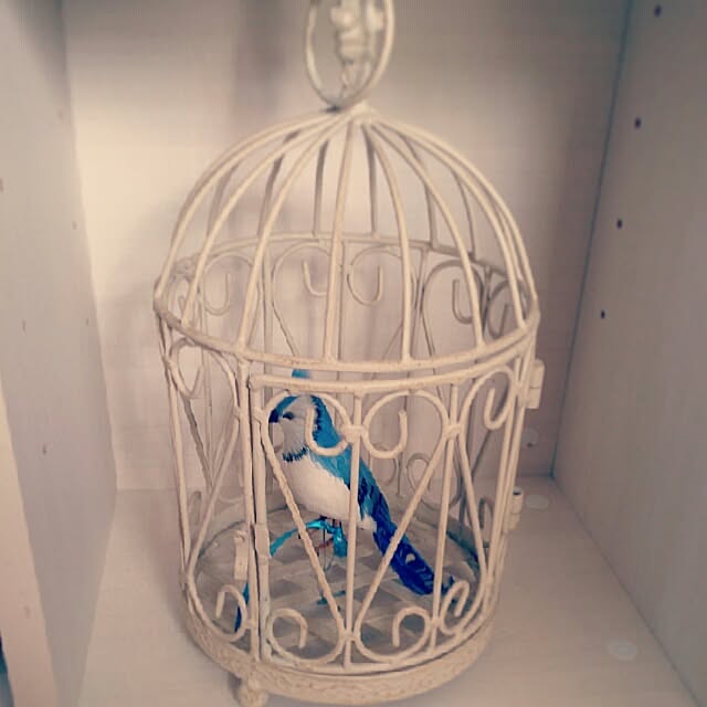 Chihiroさんの実例写真