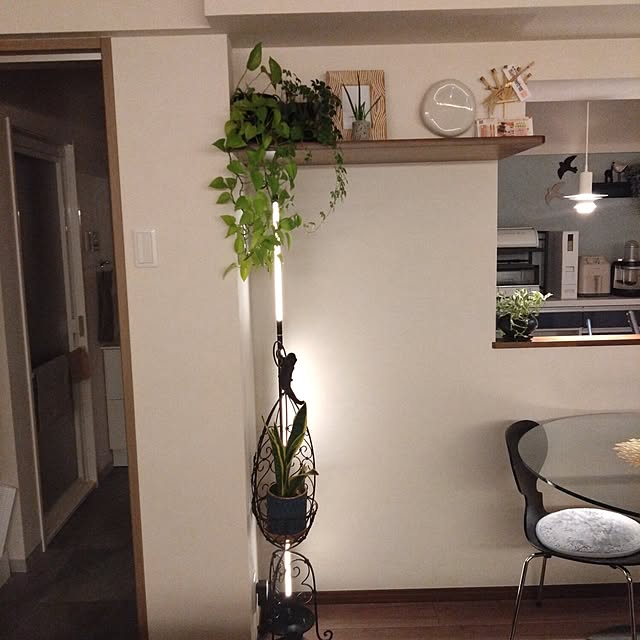 kiyoさんの部屋