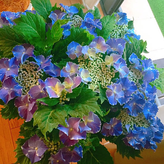 keikoさんの実例写真