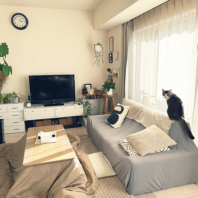 nekomiさんの実例写真