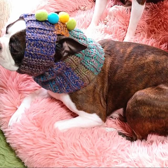 maiさんの実例写真