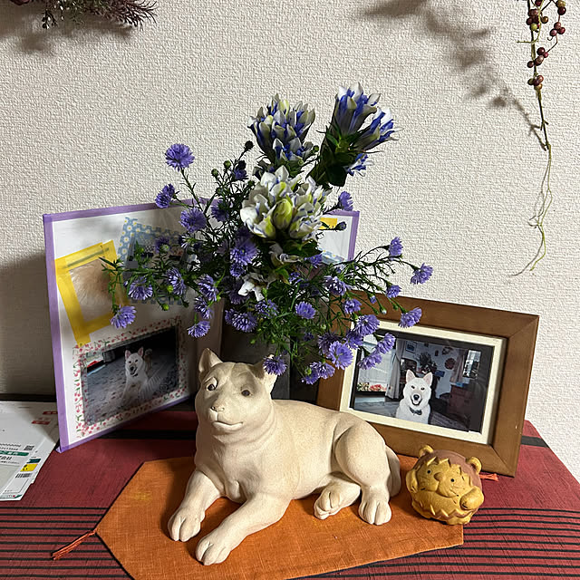 ritsukoさんの部屋