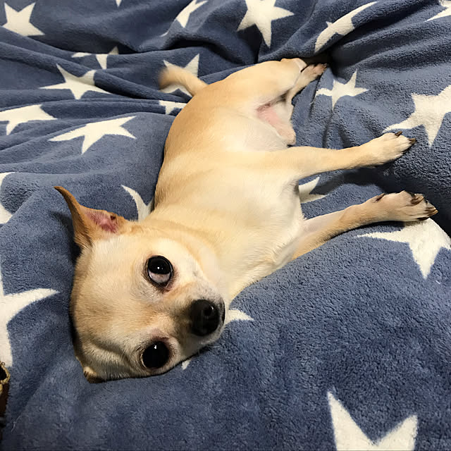 nacchintunnさんの実例写真