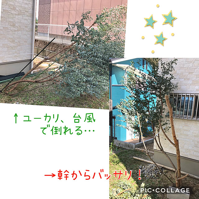 ayayayayaさんの実例写真