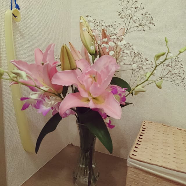 Tomoko.mさんの実例写真