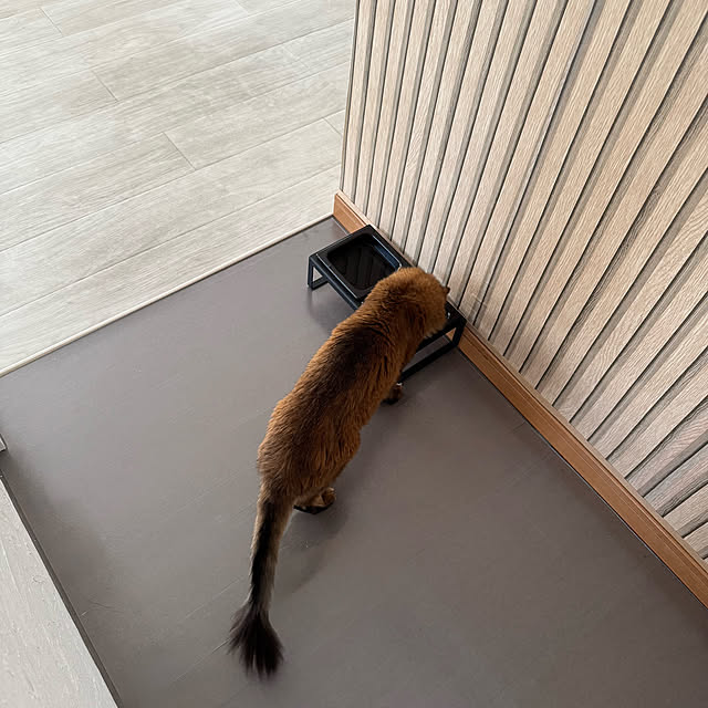 yuri.sさんの部屋