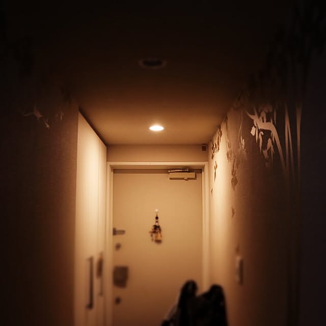 Mizkeyさんの実例写真