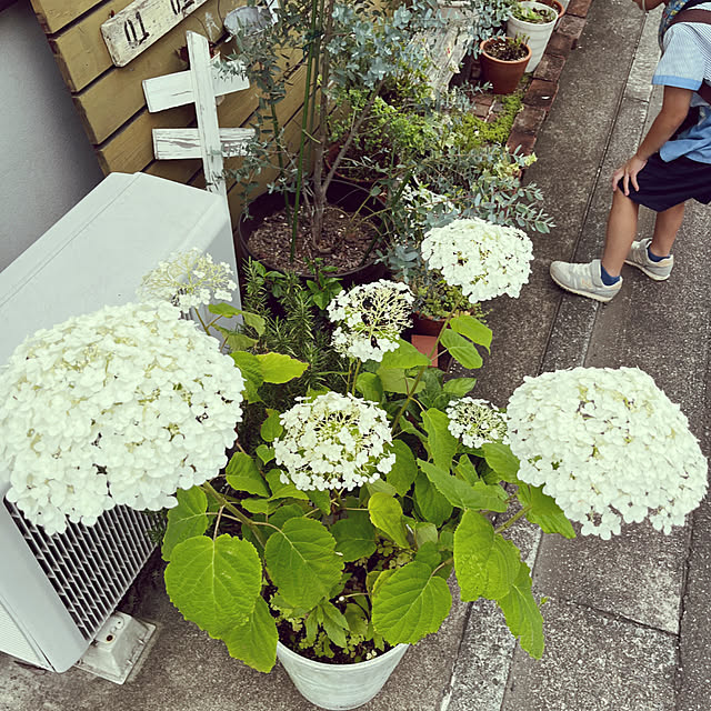 823smileさんの部屋