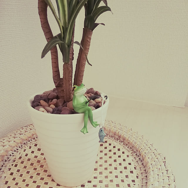osopさんの実例写真