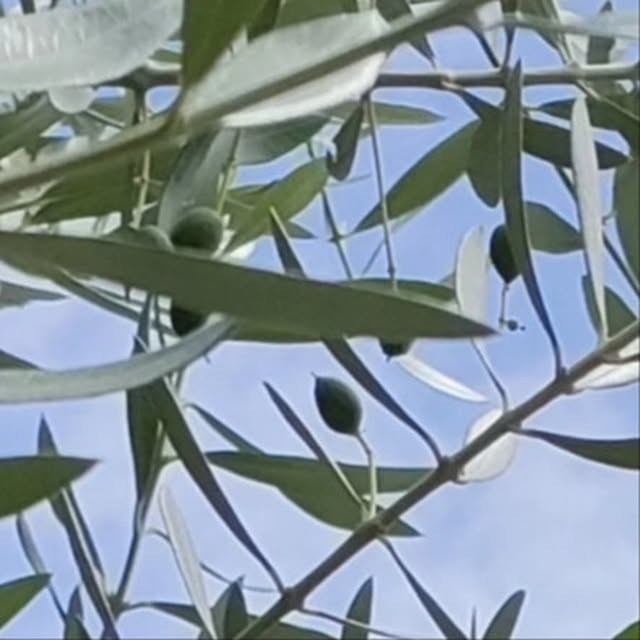 mori_6_12さんの実例写真