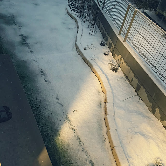 Haruさんの実例写真