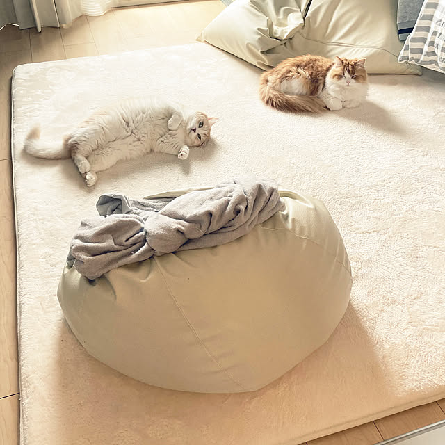 H.Tさんの実例写真