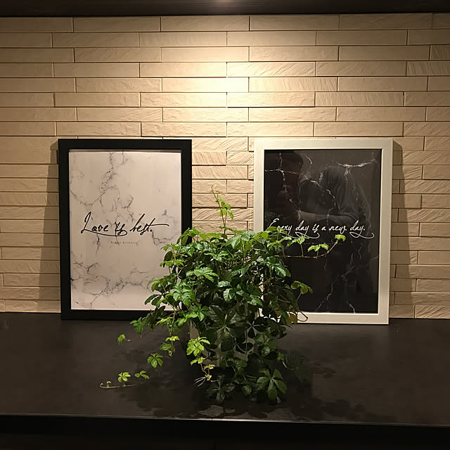無印良品/100均/玄関/入り口/観葉植物のインテリア実例 - 2020-03-10 22:01:18