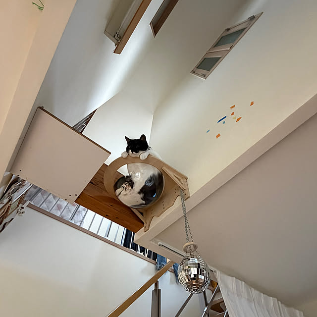 nさんの実例写真