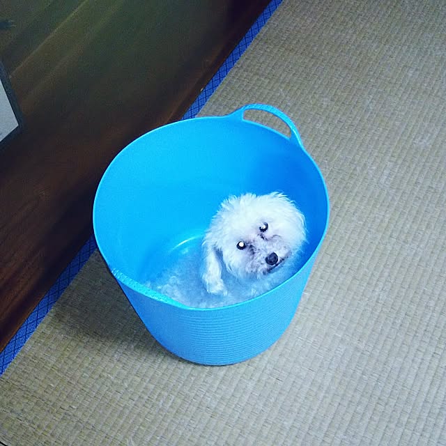 mokanaさんの実例写真