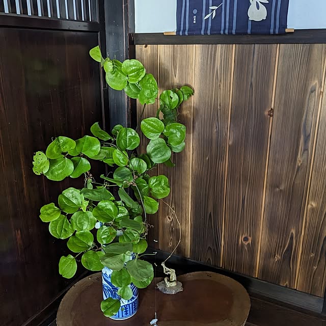 naoさんの部屋