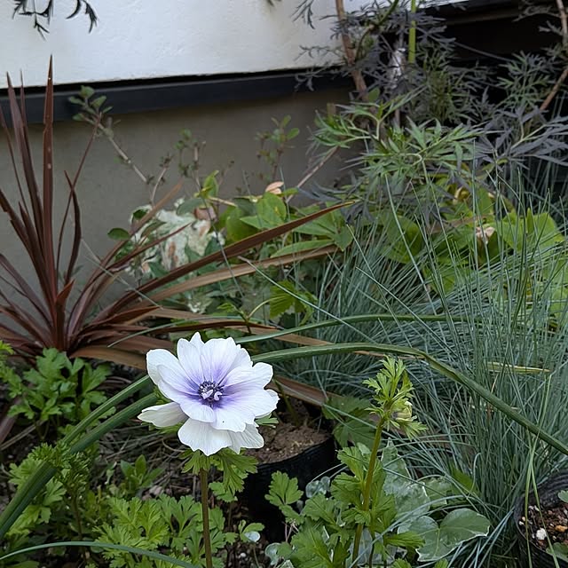 nolleyさんの部屋