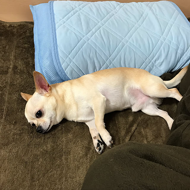 nacchintunnさんの実例写真