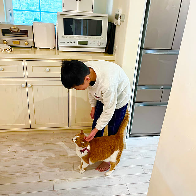 sakuraさんの部屋