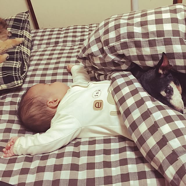 kumaさんの実例写真