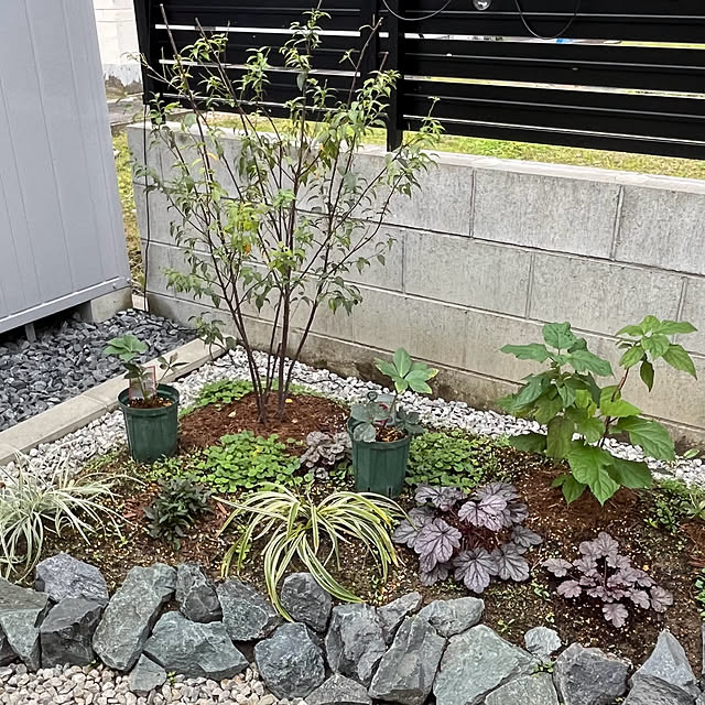 take_nokoさんの部屋