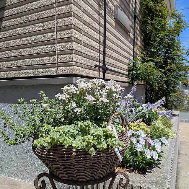 kumijiさんの実例写真