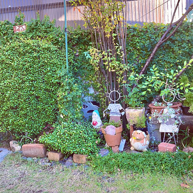 takakoさんの部屋