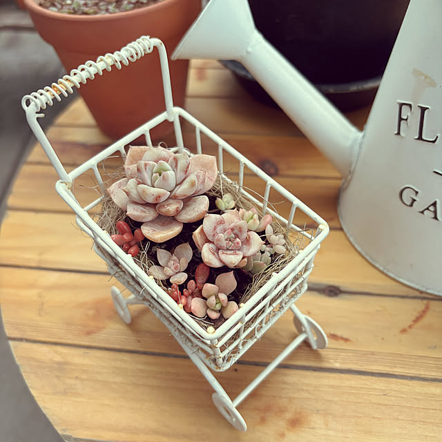 3setai_gurashiさんの部屋