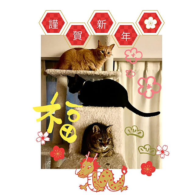 naturalさんの実例写真