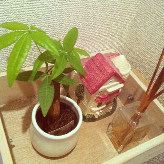 HIROMIさんの実例写真