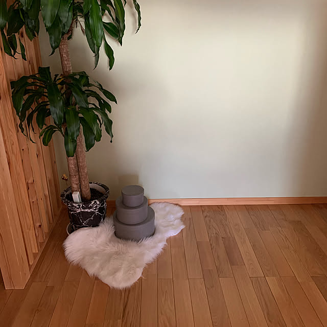 一人暮らし/観葉植物/玄関/入り口のインテリア実例 - 2020-01-20 15:27:06